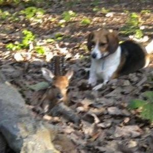 Meet your Posher, Charlotte